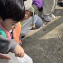 자동목장 | 용인 아이랑 갈만한 곳 추천 농도원목장 방문 후기 및 이용 정보