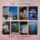 남구-006 | #대구남구가족센터 💫울산 일대관람 가을여행💫