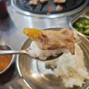 아는 사람만 아는 청주 강서동막창 뒷고기 맛집 투박이 생막창 리얼 후기