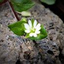 강남제일행정사사무소 이미지