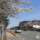 수원-1807 이미지