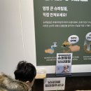 장수풍뎅이(Big beetle) | 서울 아이와 갈 만한 곳, 영등포 YDP 곤충체험학습관 + 내돈내산 BIG 100 동물백과 책 육아