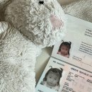 18개월 아기랑 괌 여행 ✈️ 1탄 예약 및 준비 (아기여권, 비행기 자리, 아기랑 괌 호텔, 아기 짐 등등..)