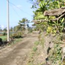 감성별당 이미지