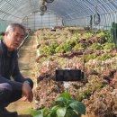 가빈농장 이미지