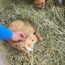 영주농장 이미지