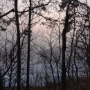 진왕영농조합법인 이미지