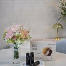 이패밀리만기츠서울투어㈜ | 흡수 빠른 홍삼 앰플, 패밀리 홍삼의 명작 바이탈뷰티 명작수 양가 부모님께 전하는 활력