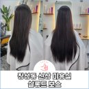 포항 장성동 미용실 (ft. 살롱드보스)