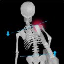 참본의원 이미지