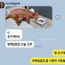 방배김밥(동부이촌점)