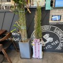 달리는커피김포고촌점 이미지