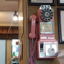 정가네 꽃삼 이미지