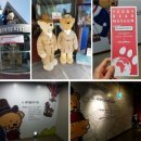 (주)테디베어뮤지엄 이미지