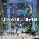 단양 다누리 아쿠아리움 주차 입장료 물고기박물관 실내 가볼만한곳