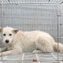 서이천로 이미지