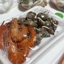 영덕식당 | 포항 죽도시장 맛집 [갈릴리대게회식당] 영덕대게 포장 후기 집에서 크리스마스 대게파티!