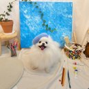 까까로운 이미지