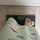 한샘목장 | 임신 34주 증상, 배크기, 태동, 손저림, 근육통, 임산부일상