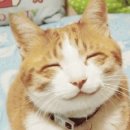 (주)바디로 이미지