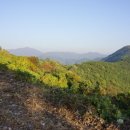 산성