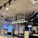 NC백화점 앞(동천로 92) 이미지