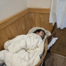 등대장어 - 창원시 성산구 | 마산가포맛집 등대장어 내돈내산 후기