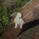 빕스 전주점 평일 런치 방문기 (내돈내산 후기)