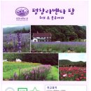 평창라벤다(유)농업회사법인
