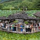 경남 함양~산청 여행 26.08.19 이미지