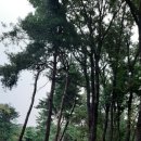 당두공원 이미지