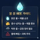 대길상사 | 물 꿈 꿨다면 지금 내 감정과 돈 흐름을 확인하세요 — 물 꿈 해몽 완벽 정리