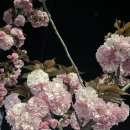 공달생태한마리 이미지