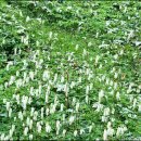 초원컴퓨터 이미지