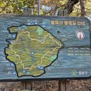 2/28일 토요일 봉화산 둘레길 (7호선 먹골역 오후1시30분) 이미지