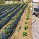 [단체] 렛츠 댄스 이미지