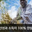 정직한청년축산 이미지