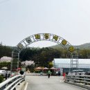 예원숲어린이집 | 동천자연식물원 숲놀이터 미니동물원 식물원 32개월아기와 다녀온 방문후기