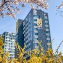 호텔리버 이미지