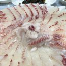 매일횟집민박 이미지