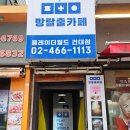 더월드 | 건대방탈출 &#34;플레이더월드 건대점&#34; 추천 후기