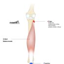 CM Fitness 이미지