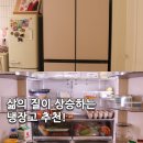 오브제패션 | 키친핏 냉장고 고민된다면? LG 디오스 오브제 실사용 리뷰