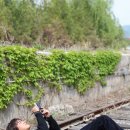 이무진 카카오 검색결과