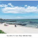 김용향방