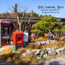 메주꽃이랑 이미지