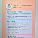 피우리플라워