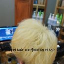 바이엘헤어