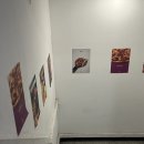 미친피자 건대본점 | 어린이대공원역 피자 맛집 추천[미친피자 건대본점]