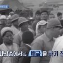 개판오분전 - 진주시 | 개판오분전